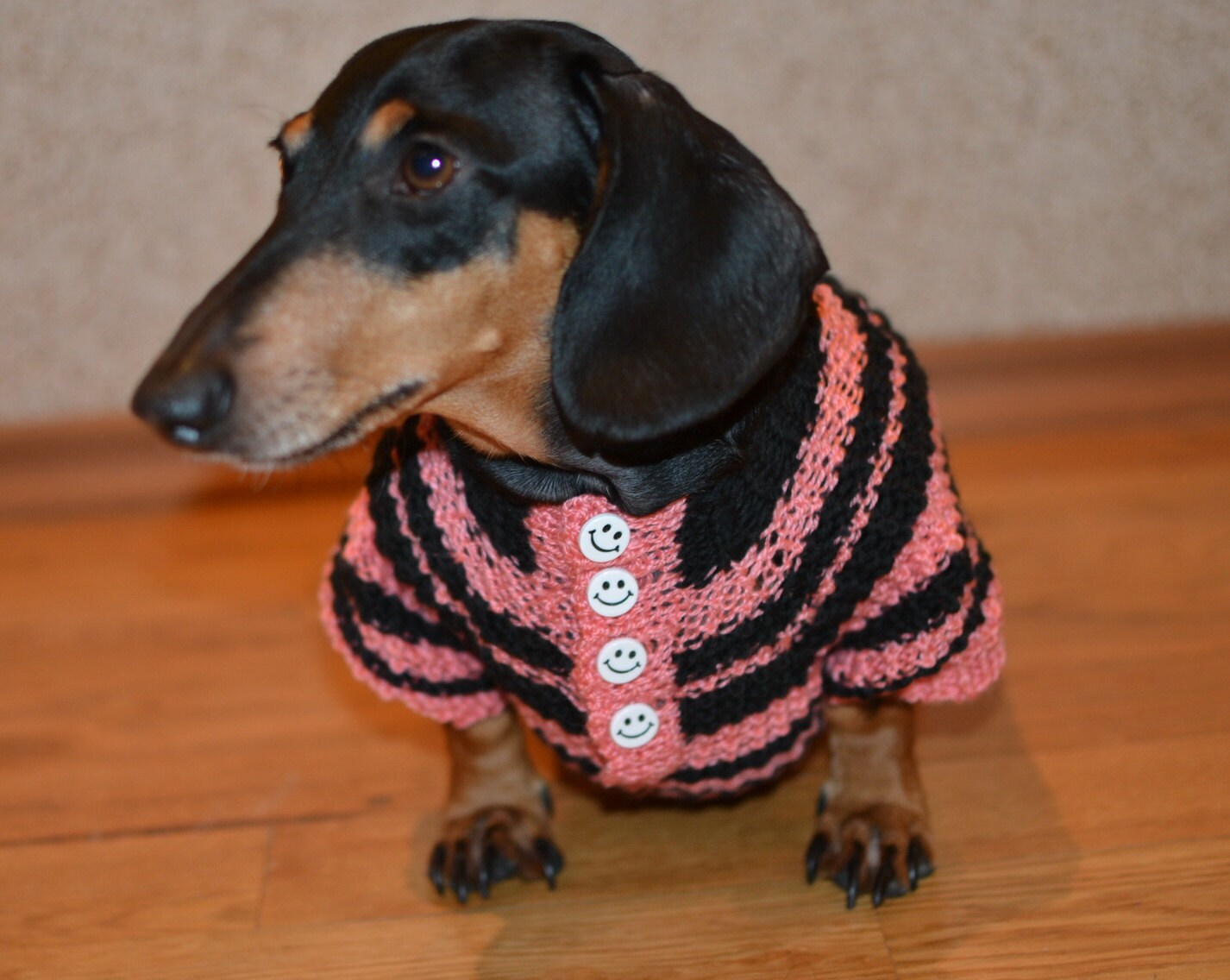 dachshund Clothes Hand Knitting medium dog striped black and