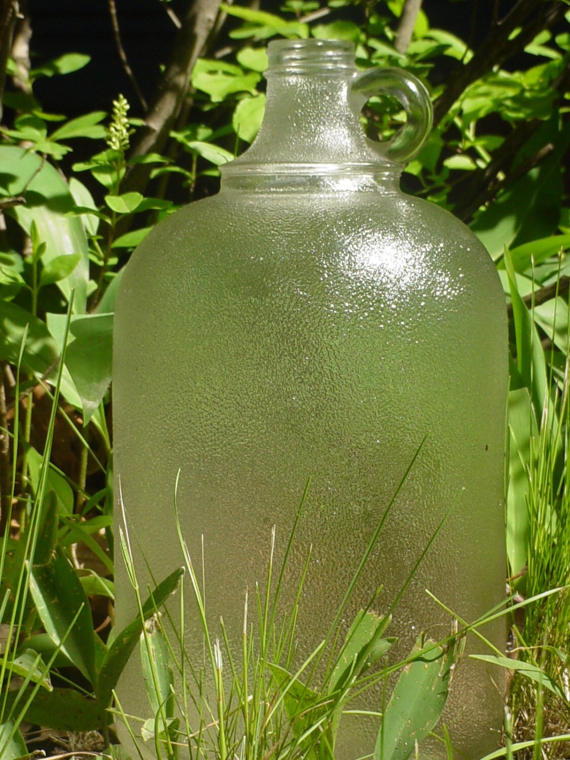 Frosted Vintage Illinois Glass Gallon Jug