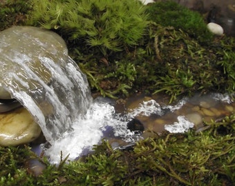 Add a Miniature Waterfall, Pond or River to your Fairy Garden Terrarium - Unique Terrarium Accessory - Handmade by Gypsy Raku