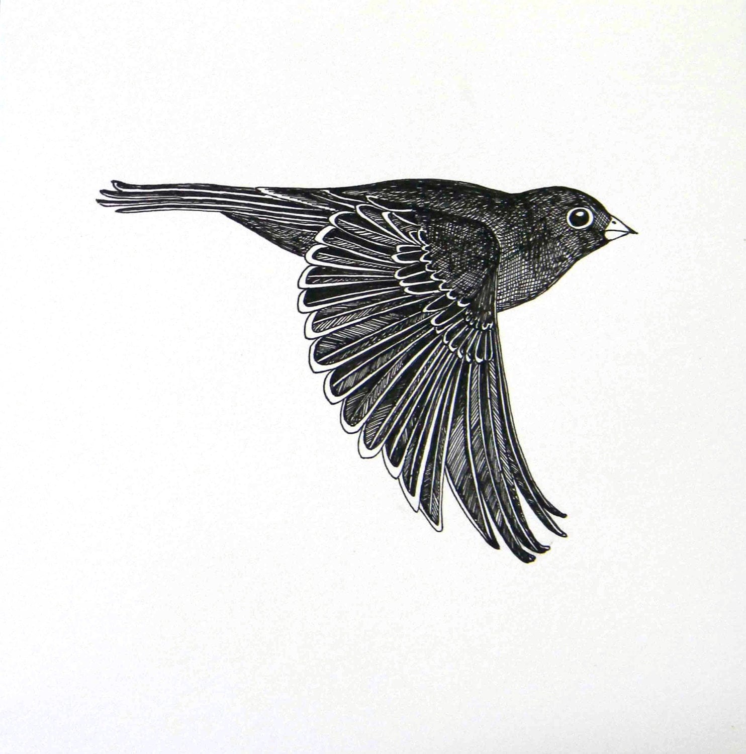 flying-bird-original-ink-drawing