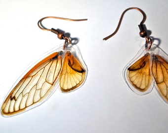 Real Seventeen Year Cicada Wing Earrings