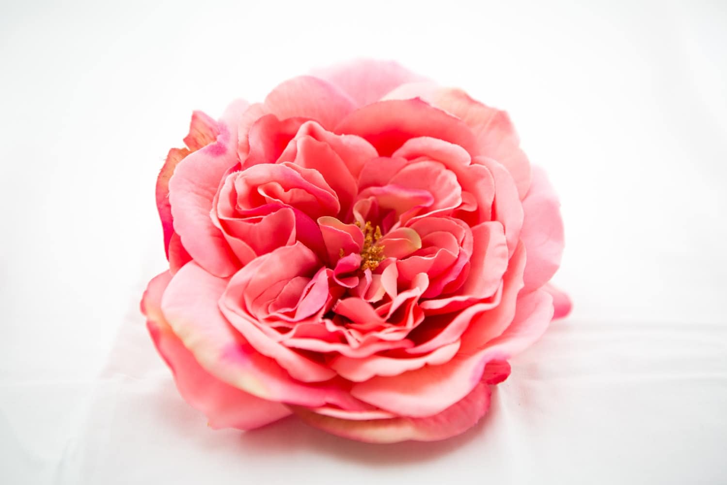 Large Pink Sophia Rose  Artificial Flower, Silk Flower Heads  ITEM 0393 from SimplySerraFloral 