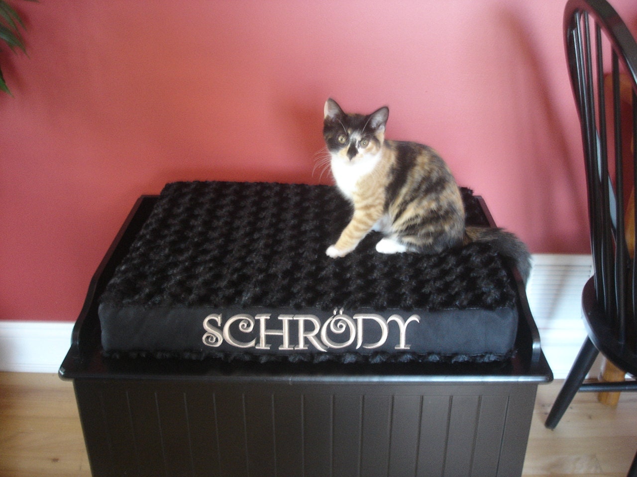 Crate Pad 19 x 25 3 Memory Foam Dogs Pets