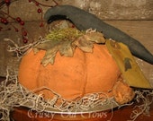 Pumpkin Pie with Crow