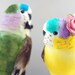 On Sale and One of A Kind - Tropical Wedding Cake Topper: Paradise Parrot Love Birds Bride & Groom Anniversary and Wedding Cake Topper
