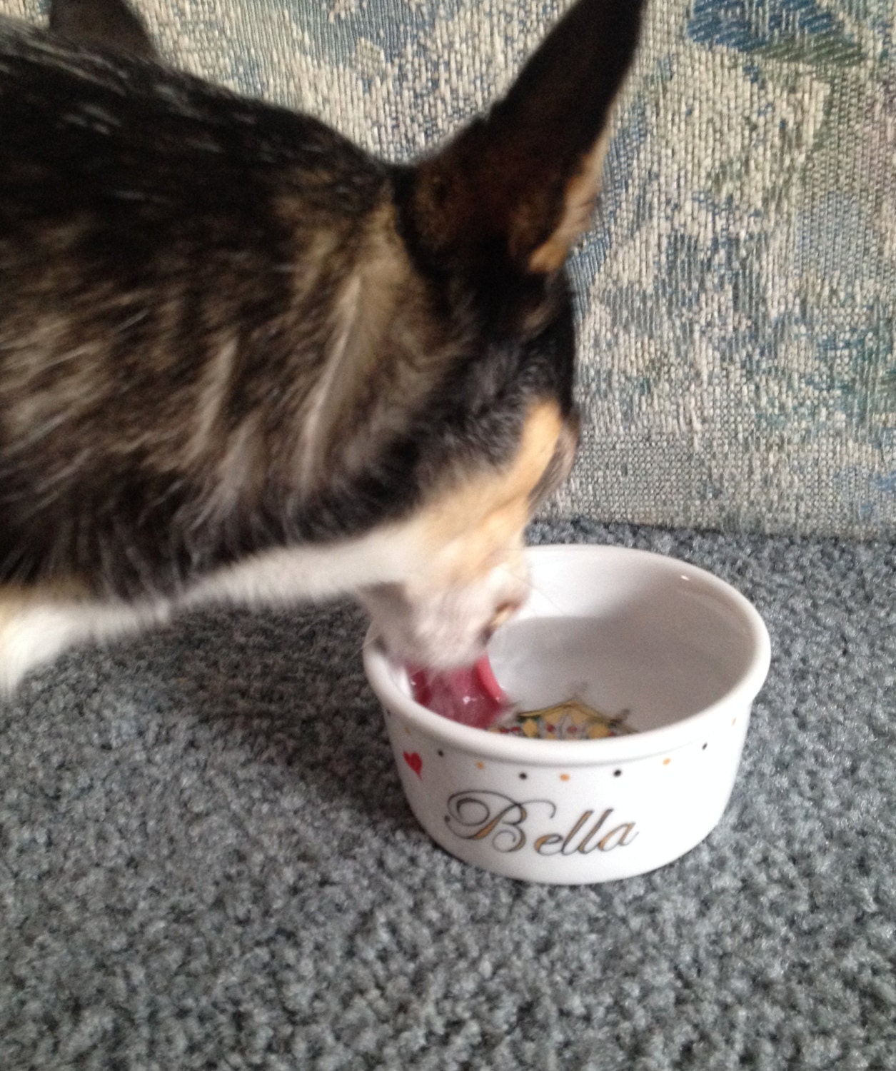 Hand painted porcelain custom personalized petite dog food