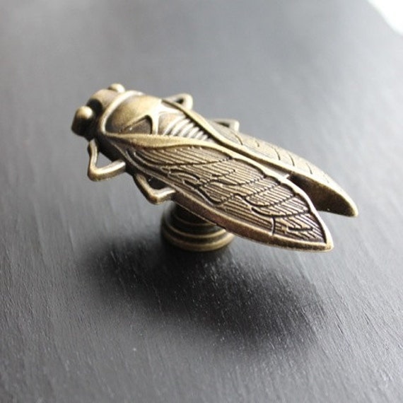 Insect drawer knobs knobs cicada in Brass Metal