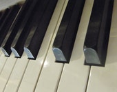 Piano Black Keys fine art