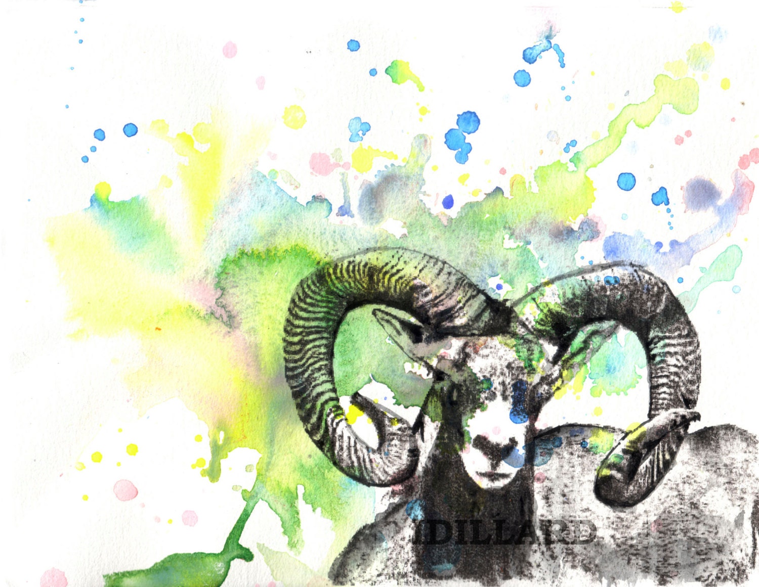 Mountain Goat Original Animal Watercolor Painting Great Room