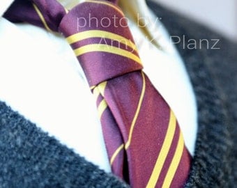 5x7 Harry Potter inspired Gryffindor Tie Photo