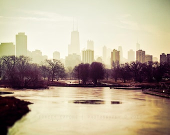 Chicago Skyline / fine art photography / wall art / Chicago print / Photograph of Chicago / neutral home decor / beige, brown, burgundy art