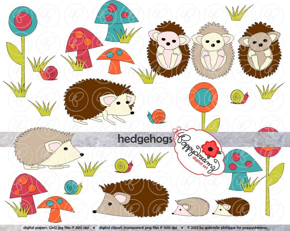 african hedgehog clipart - photo #17