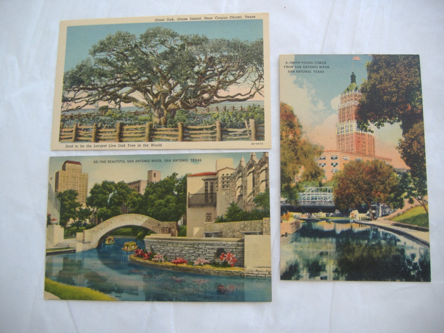 Three Antique Texas Postcards