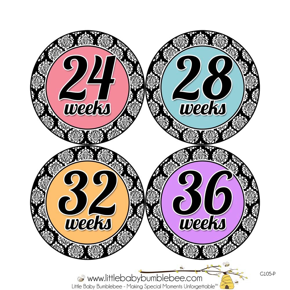 Pregnancy Stickers Pregnancy Announcement Weekly Stickers