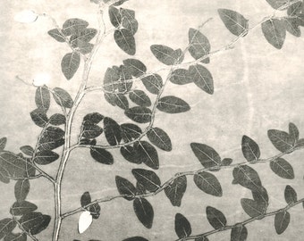 monoprint, ivy, botanical print, black & white
