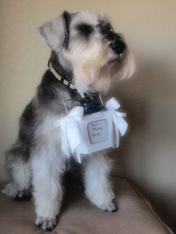 Dog Flower Girl Pail Basket Alternative by ArtisanFeltStudio