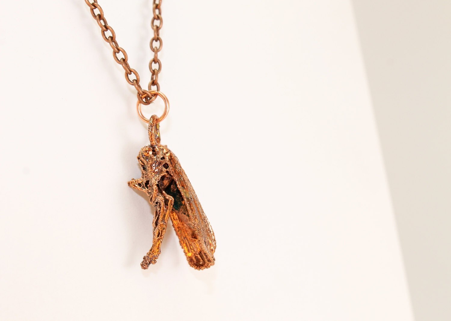 Moth Necklace Real Insect Jewelry Real Bug Sealed by CosmicRebirth