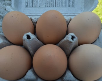 Pretend Eggs Organic Free Range Brown Speckled Play Food Breakfast