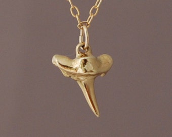 Tiny Gold Shark Tooth Necklace also in Silver