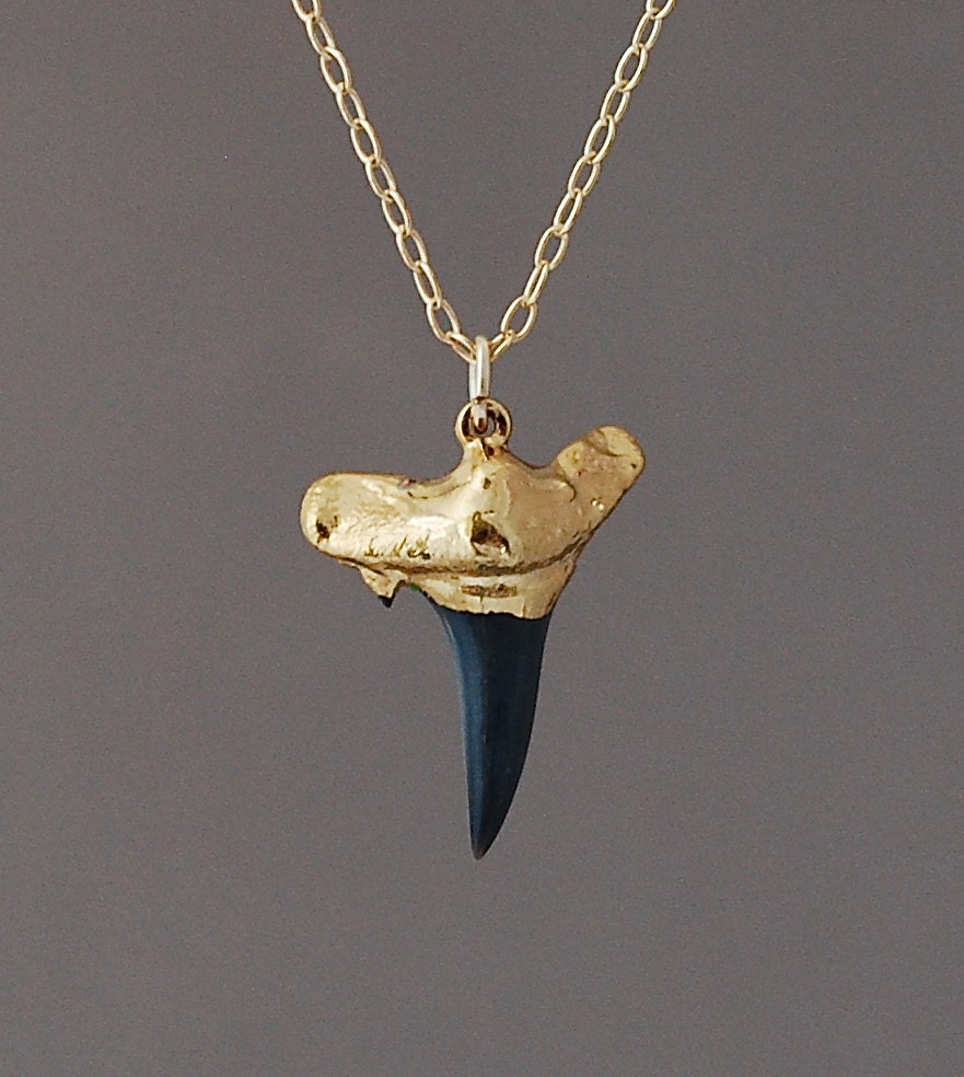 Small Gold Black Shark Tooth Necklace