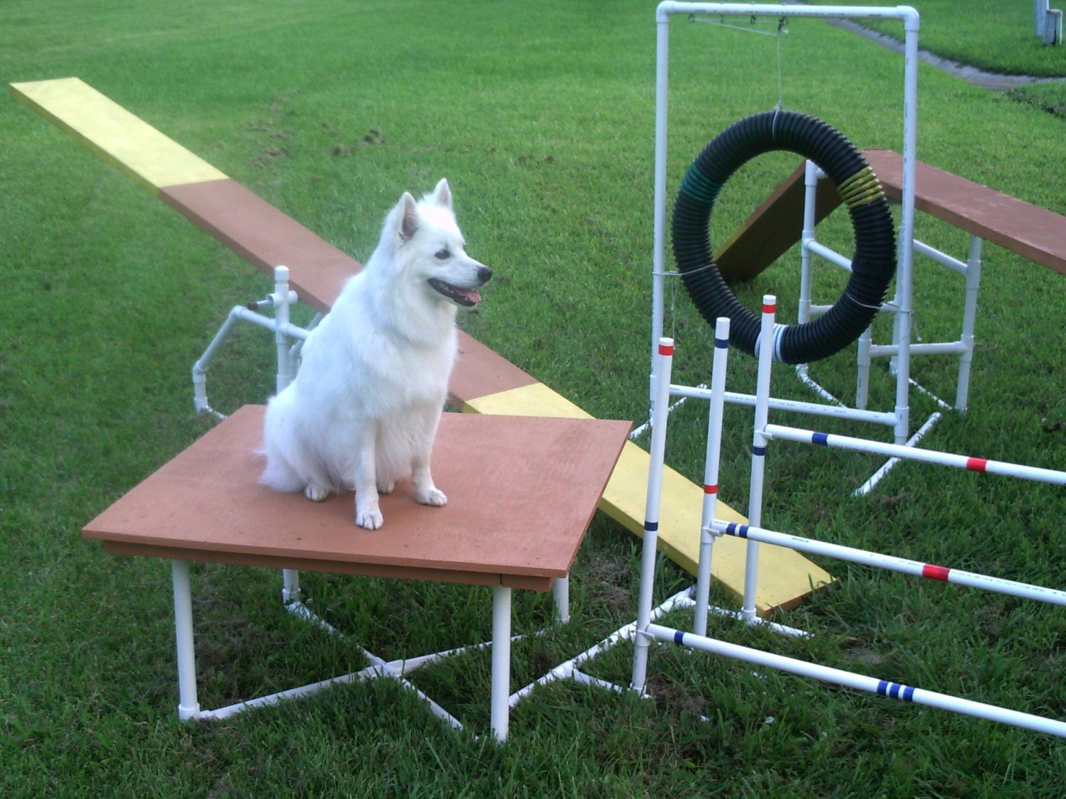 Dog Agility Equipment Construction Instruction Booklet