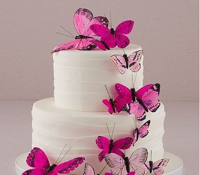 Beautiful Butterfly Cake Sets / Cake Display / DIY by CYWeddings