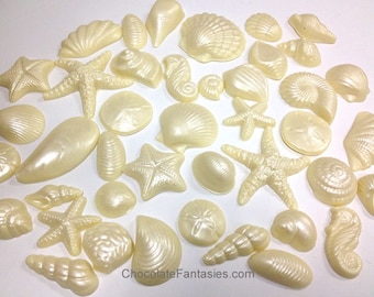 Pearlized Chocolate Seashells 1 lb. - 43 pc. Wedding Cake Decoration Pack Assorted Sizes 1" - 3", Asst. Luster Finishes in Asst. Flavors