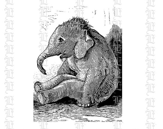 vintage elephant clip art - photo #39