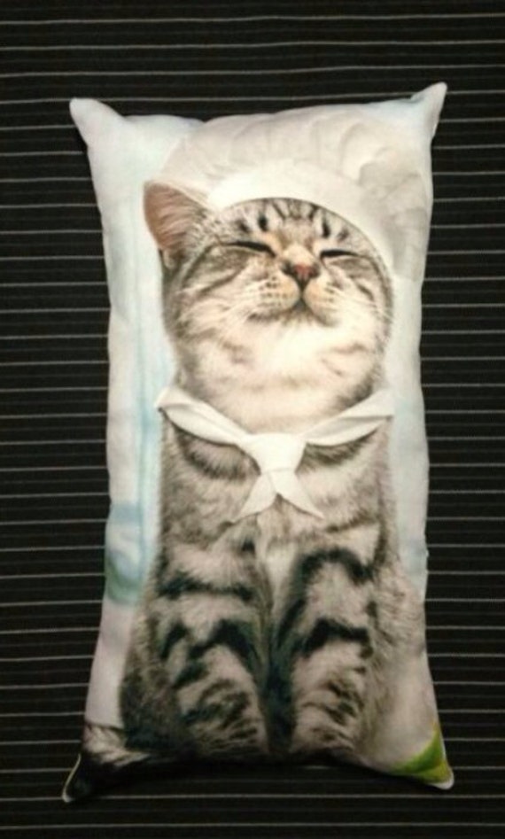 kitten cushion