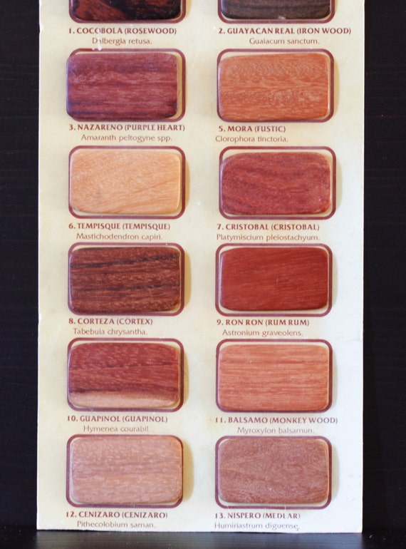 Unique Costa Rican Hardwood Samples Guide by thedistantpast