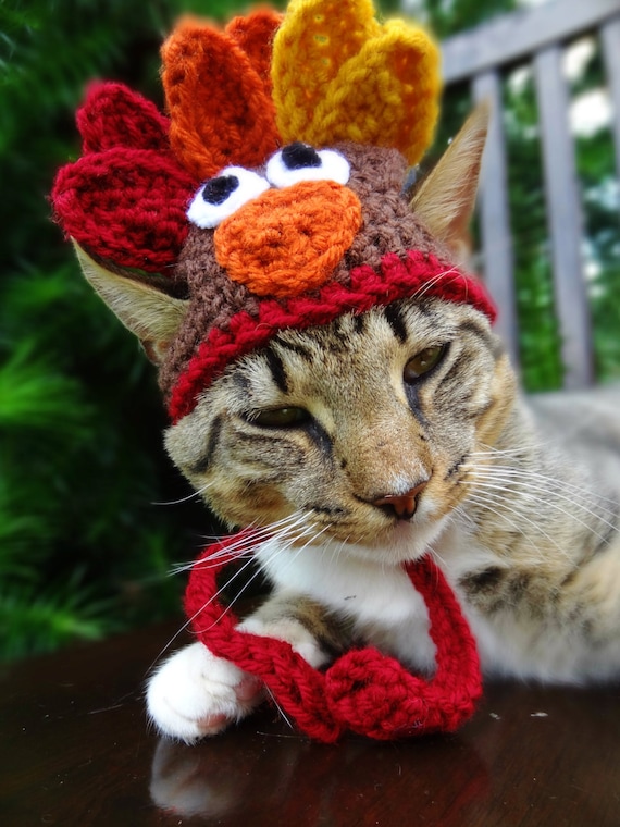 Cat Hat Costume The Thanksgiving Turkey Hat by iheartneedlework