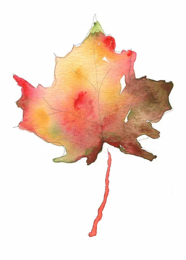 Maple Leaf Watercolor Painting 5x7 Fine Art Print Nature