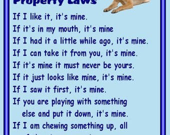 German Shepherd Fridge magnet - various designs available