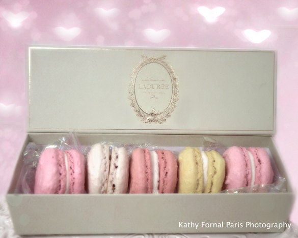 Paris Photography Laduree Box Macarons Laduree Patisserie