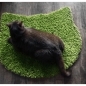 Fluffy sugar peas green carpet - cat head shape