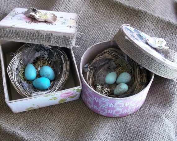 Beautiful Shabby French Cottage Robin Eggs and Nest in Gift box Great Wedding Favors or Gift