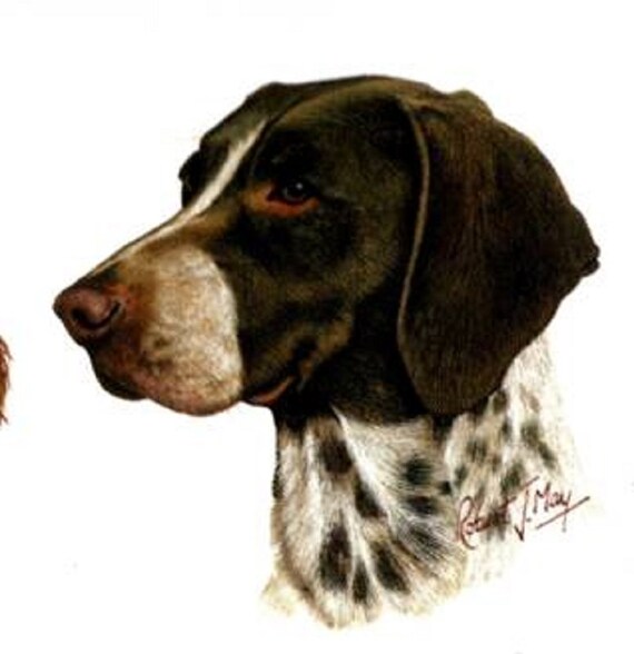 GERMAN SHORTAIR POINTER Dog on Twelve Identical 6 inch Fabric