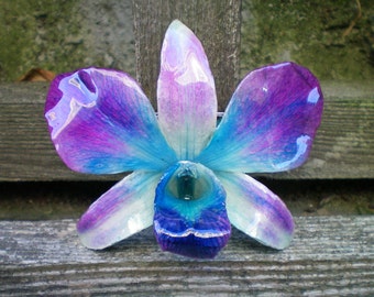 Free Shipping REAL Natural Magenta Purple, Radiant Orchid and Teal Blue ORCHID Pin and Pendant