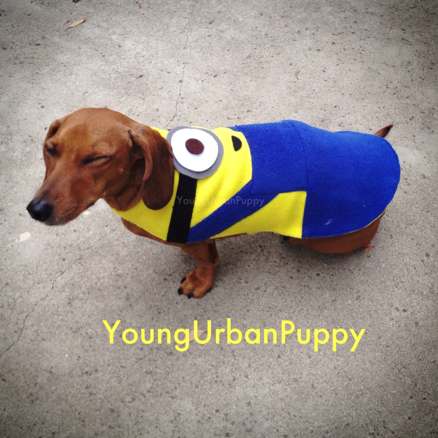 wiener dog minions