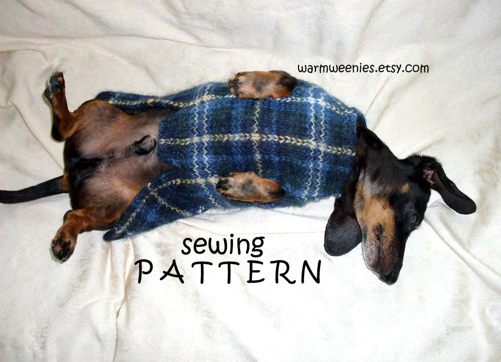 33+ Dachshund Coat Patterns Picture Bleumoonproductions