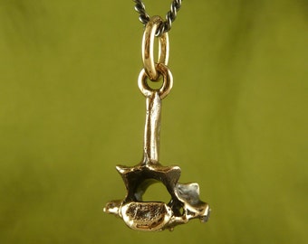 Vertebra Necklace - Bronze Vertebra Pendant on 24" Gunmetal Chain - Anatomical Jewelry