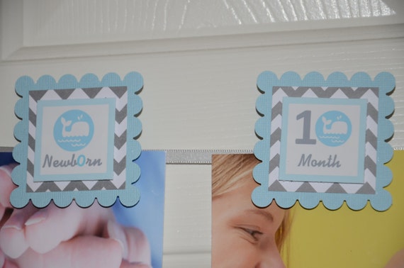 Whale 12 Month Photo Banner, First Year Photo Banner, First Year Banner, Chevron Print, Whale Theme, Grey Chevron and Light Blue, c-1110 Il_570xn