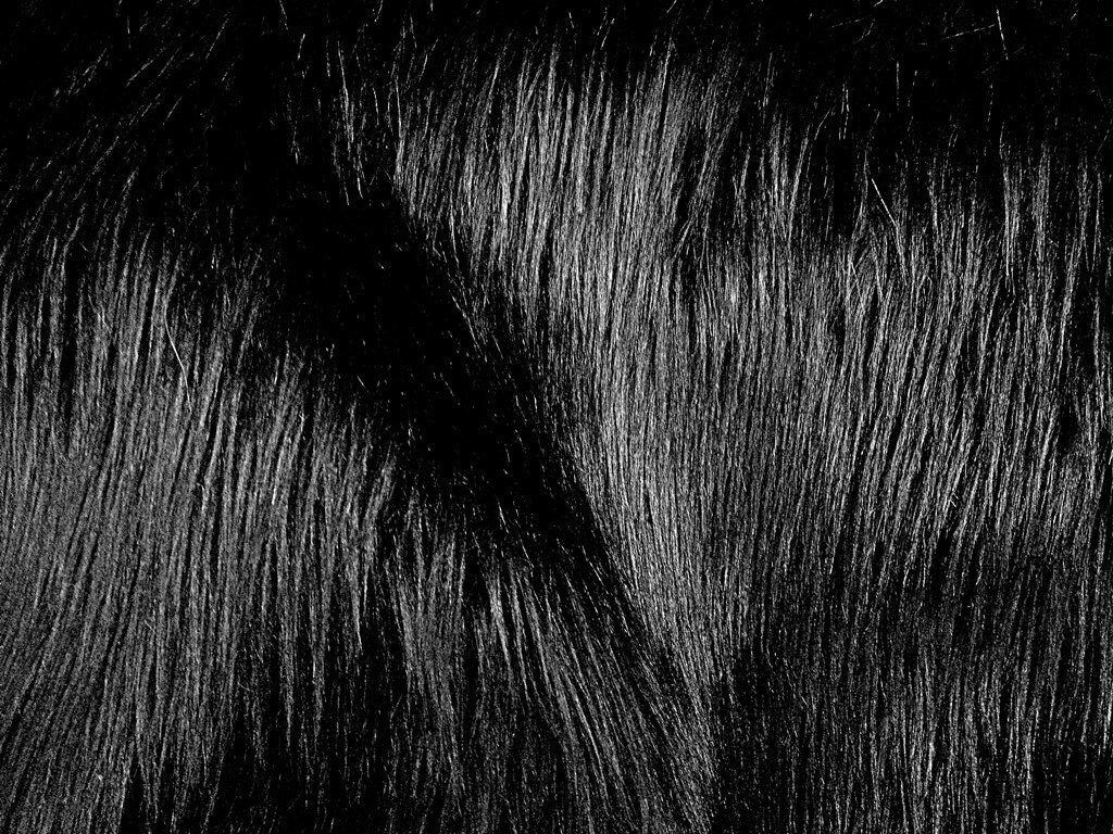 Faux/Fake Fur Luxury Shag Black 58 Inch Fabric by the Yard 1