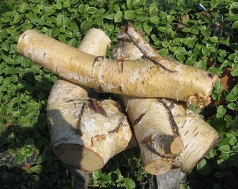 White Birch Logs, White Birch Branches, three, DIY Weddings, Rustic Decor, Woodland theme, Cottage Chic, Shabby Style, RosesAndButterflies