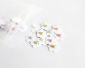 White Spring Flower Confetti: 85 Flowers with Pastel Pearl Centers