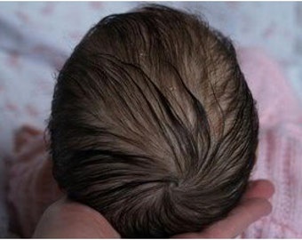 Reborn Doll Tutorial DVD Film Instructions Reborn Guide Baby Micro Rooting "The Art of Reborning" copyright