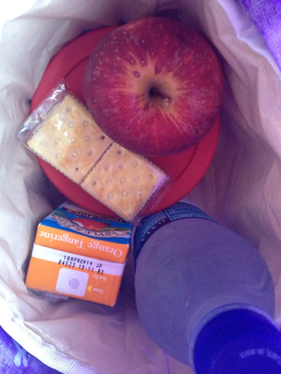 Homemade insulated lunch bag/ tote Daisy only