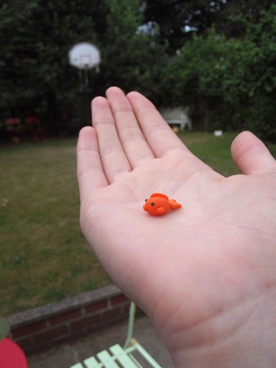 Teeny Tiny Goldfish