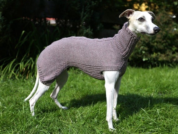 Cable Pattern / Whippet & Italian Greyhound by SleepAndHound