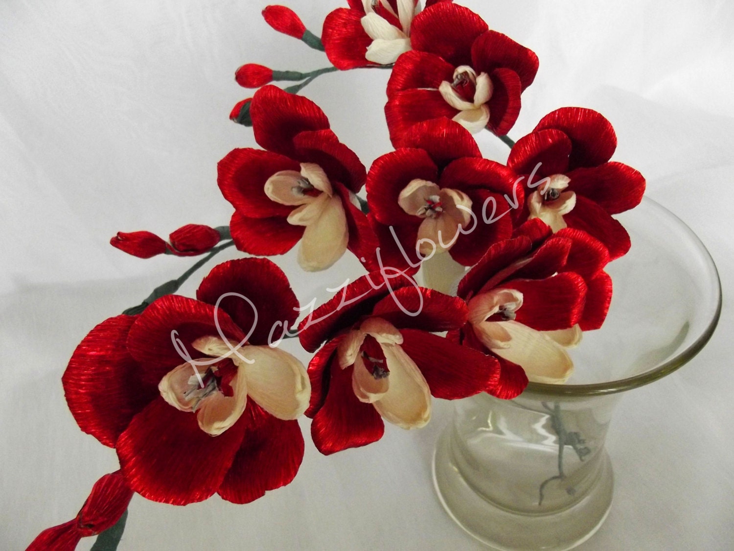 Red Orchid Flower